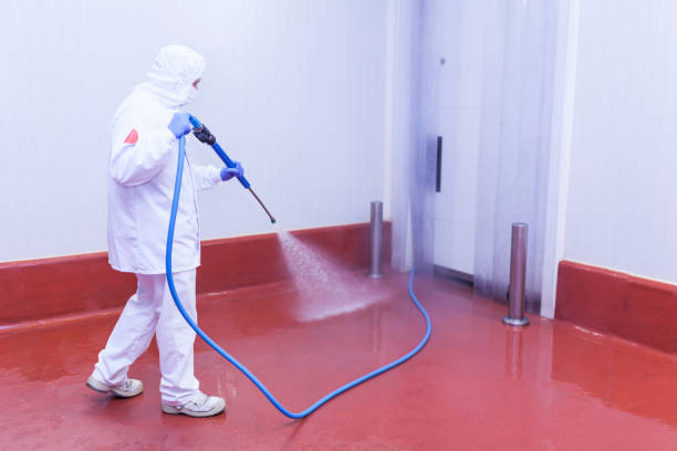Best Graffiti Removal Services in Lame Deer, MT